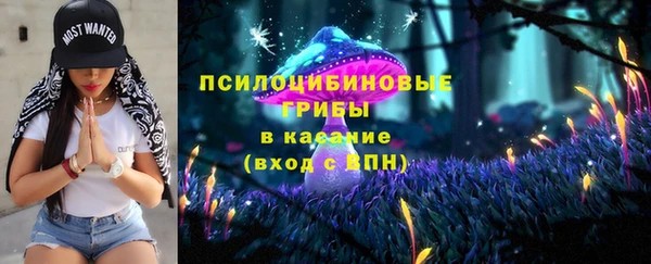 круглые Корсаков