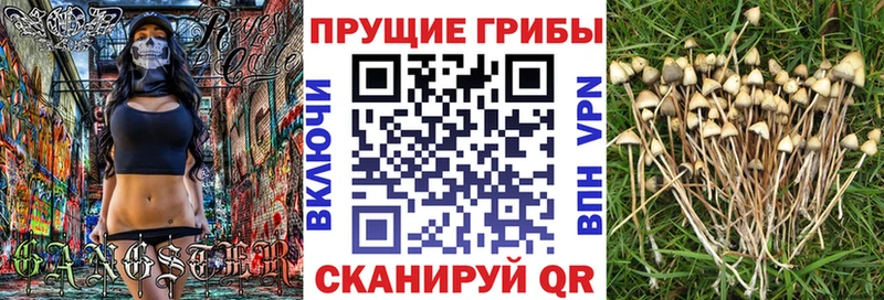 Галлюциногенные грибы прущие грибы Купить закладки Полярные Зори